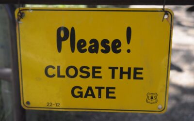 Como Dominar Gateway Pagamentos em 2025