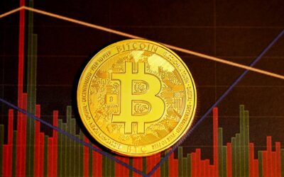 Bitcoin: New Insights for April 23, 2026