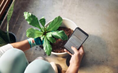 How to Master Automation in 2025