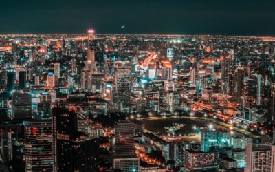 Bussiness: Everything You Need to Know